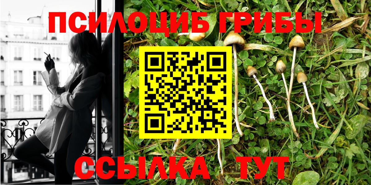 Псилоцибиновые грибы Cubensis Асбест