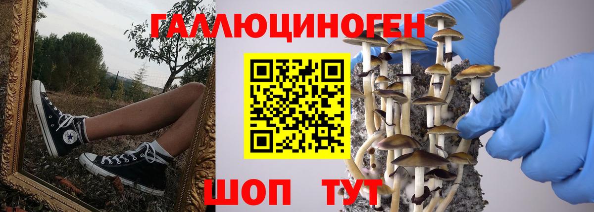 Псилоцибиновые грибы Psilocybine cubensis  Вход с VPN  Асбест 